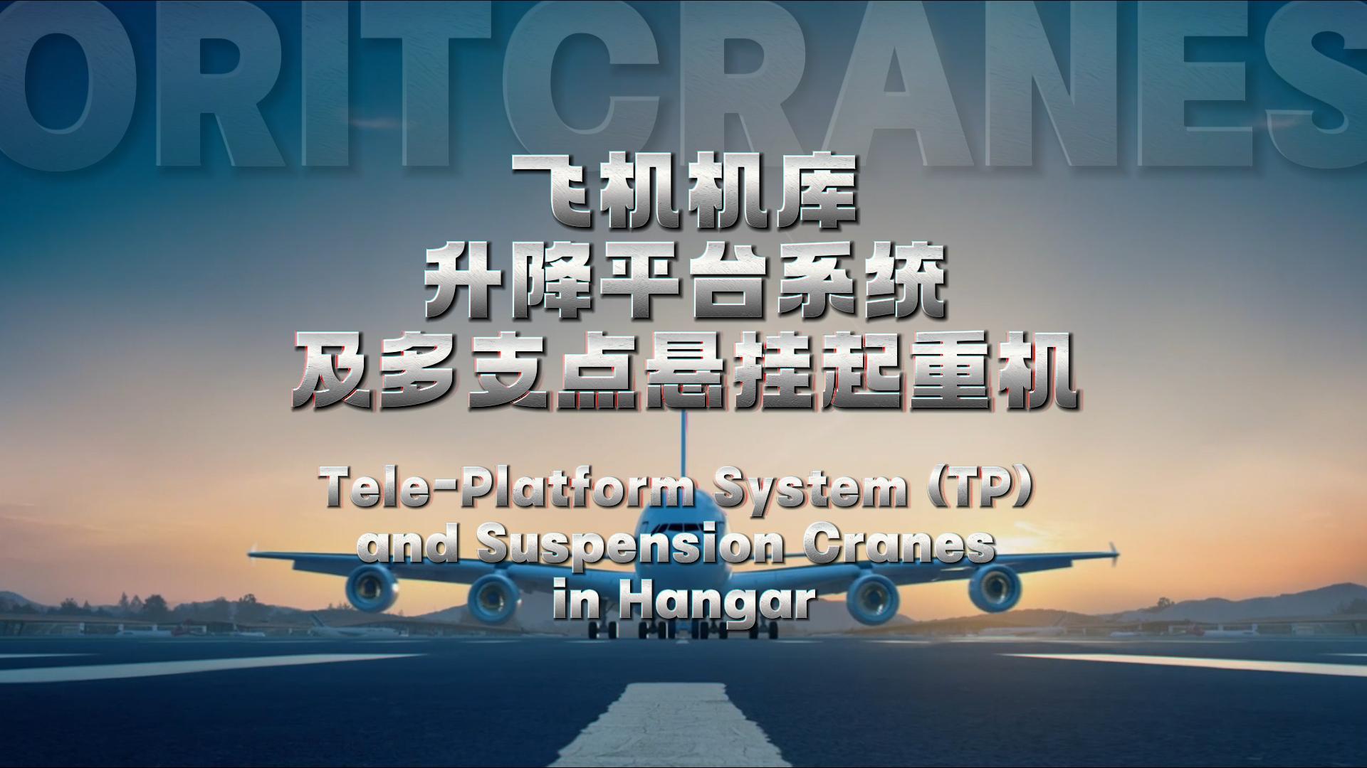 玖鼎官网航空起重机及升降平台TP